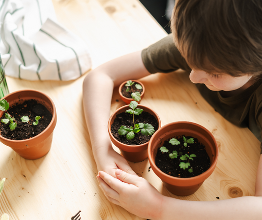 Plant a Garden with Your Kids