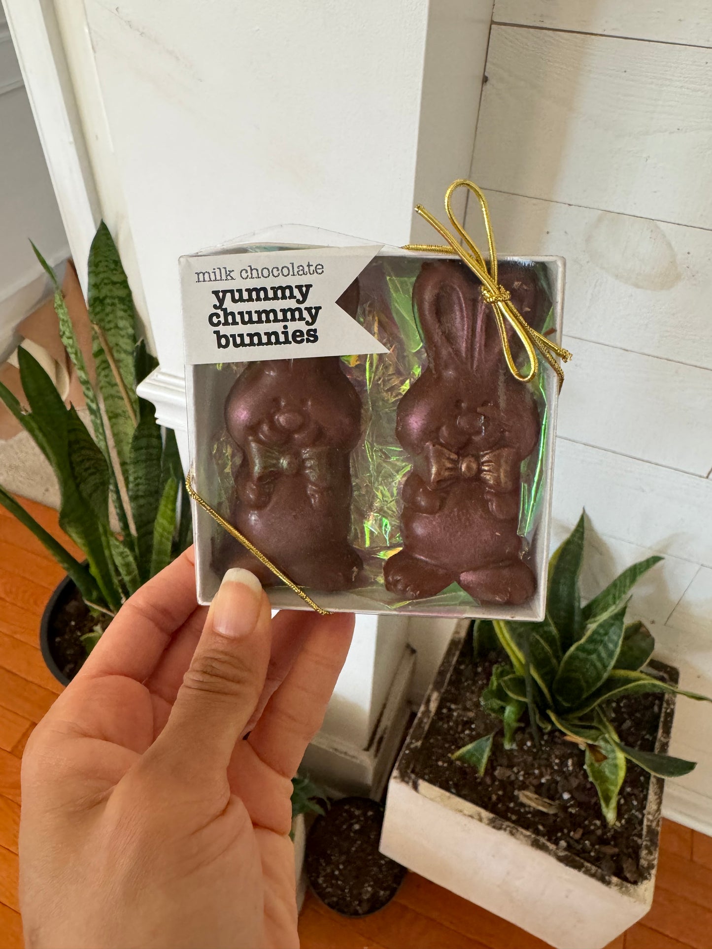 Easter chocolate bunny