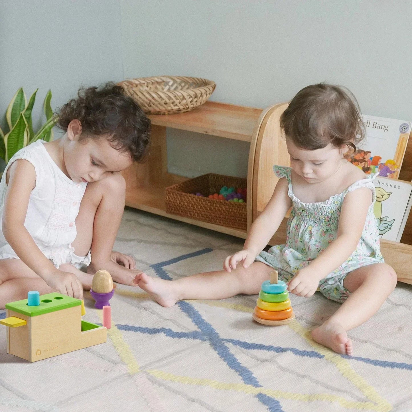 Tiny Land® Montessori Toys Set for Infants (10-12 month)