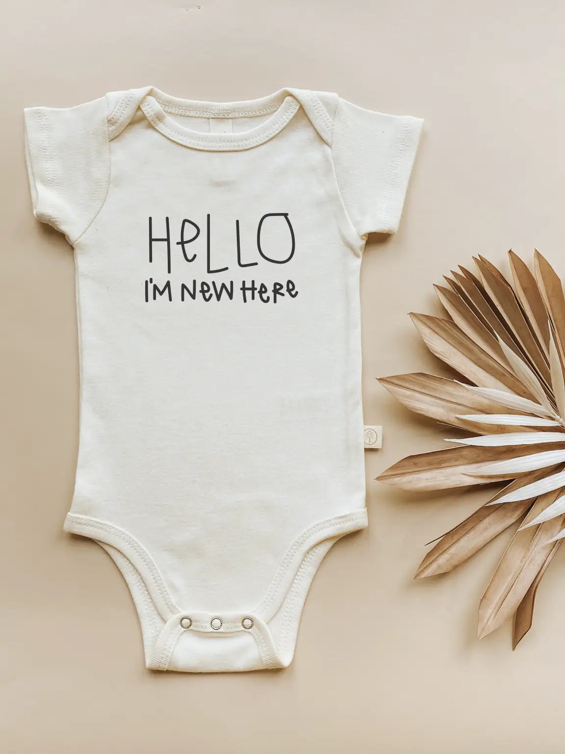 Hello I'm New Here Organic Cotton Baby Bodysuit Short Sleeve