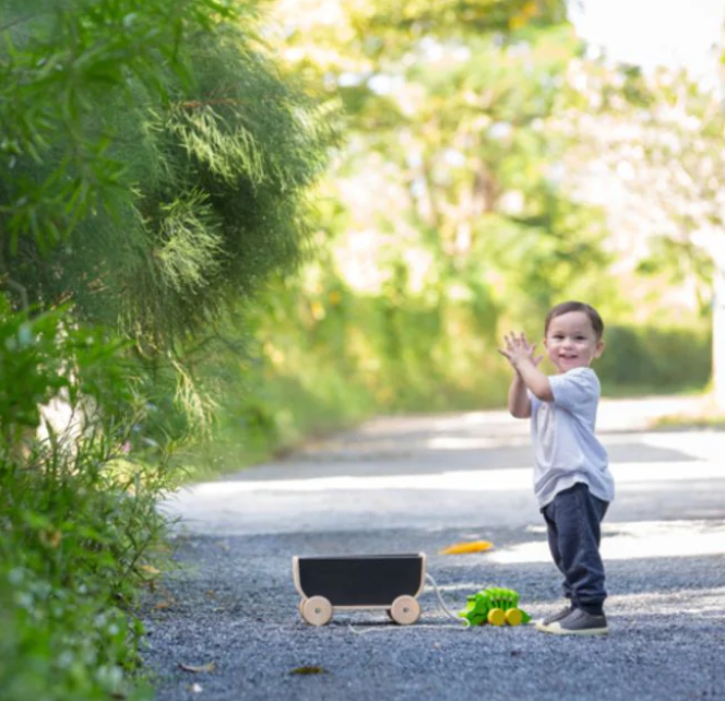 Pull Behind Wagon