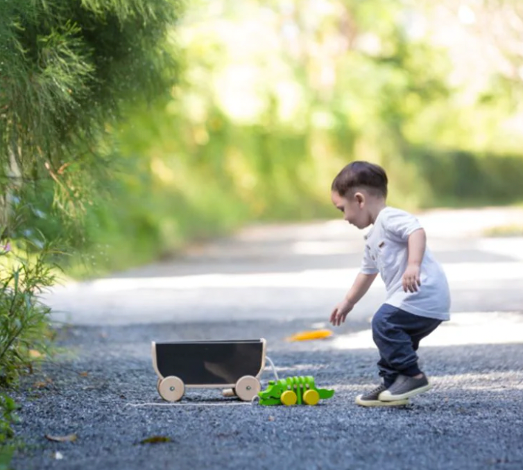 Pull Behind Wagon